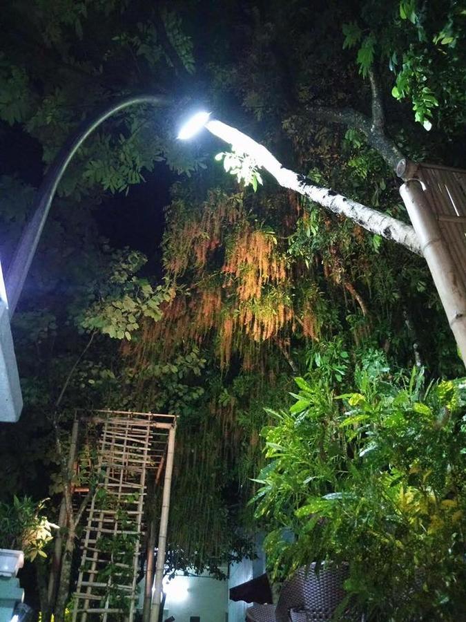 Mai Chau Mountainsホステル エクステリア 写真